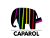 Caparol Pinturas y morteros Caparol Pinturas y morteros