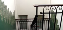 Vestíbulos y escaleras
