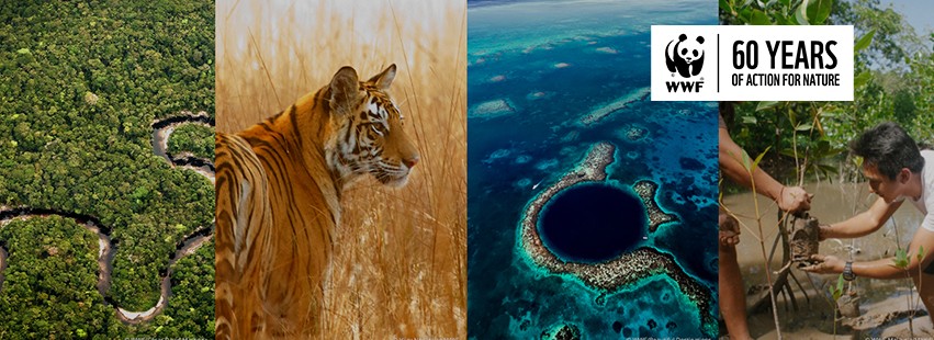 WWF