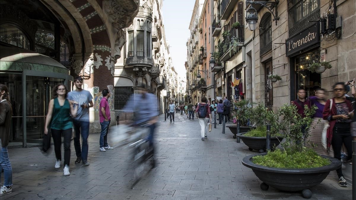 informe previ patrimoni