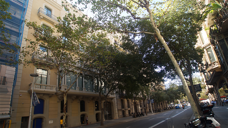 Mallorca 288