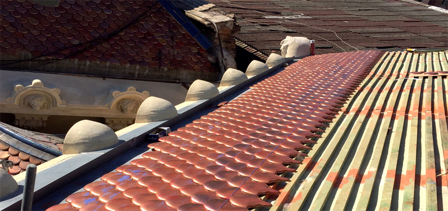 escamas