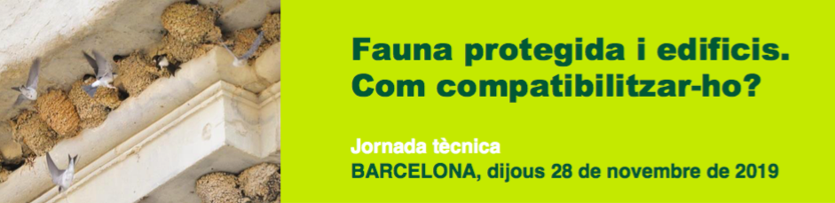 fauna edificis